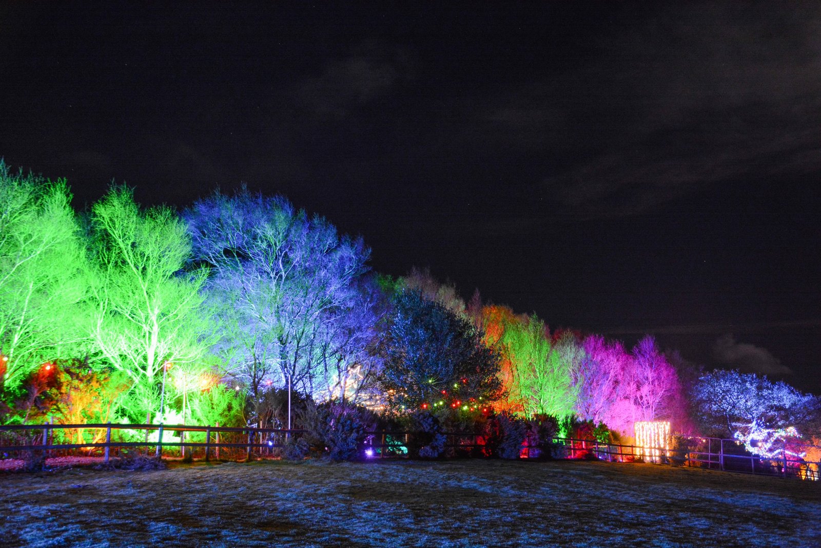 Christmas Lights and Reindeer Experience Nutley Farm